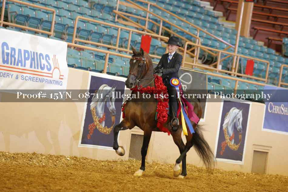 Proof 15YN_08711