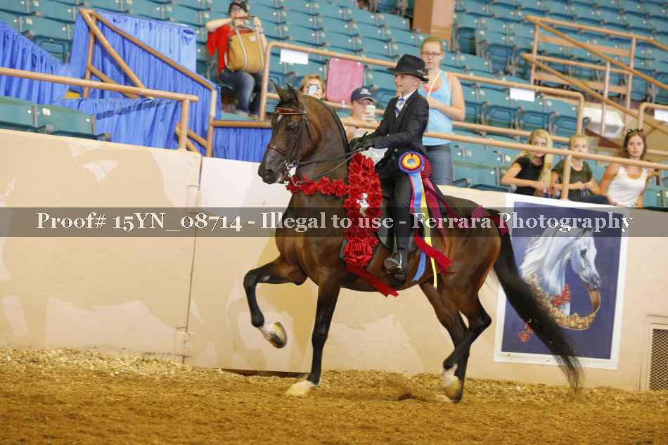 Proof 15YN_08714