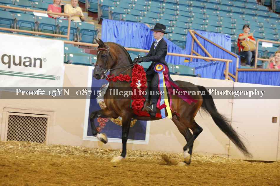 Proof 15YN_08715