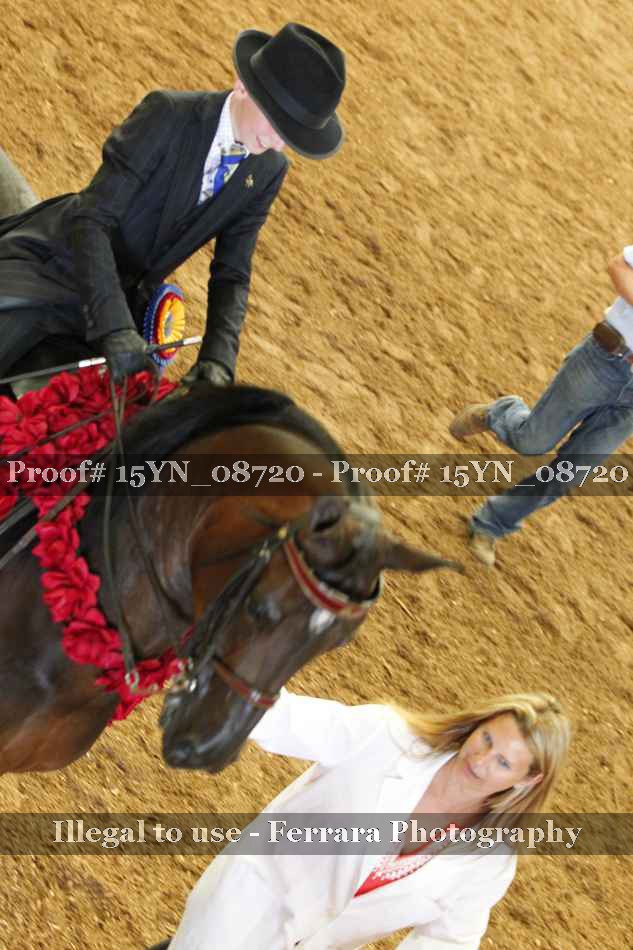 Proof 15YN_08720