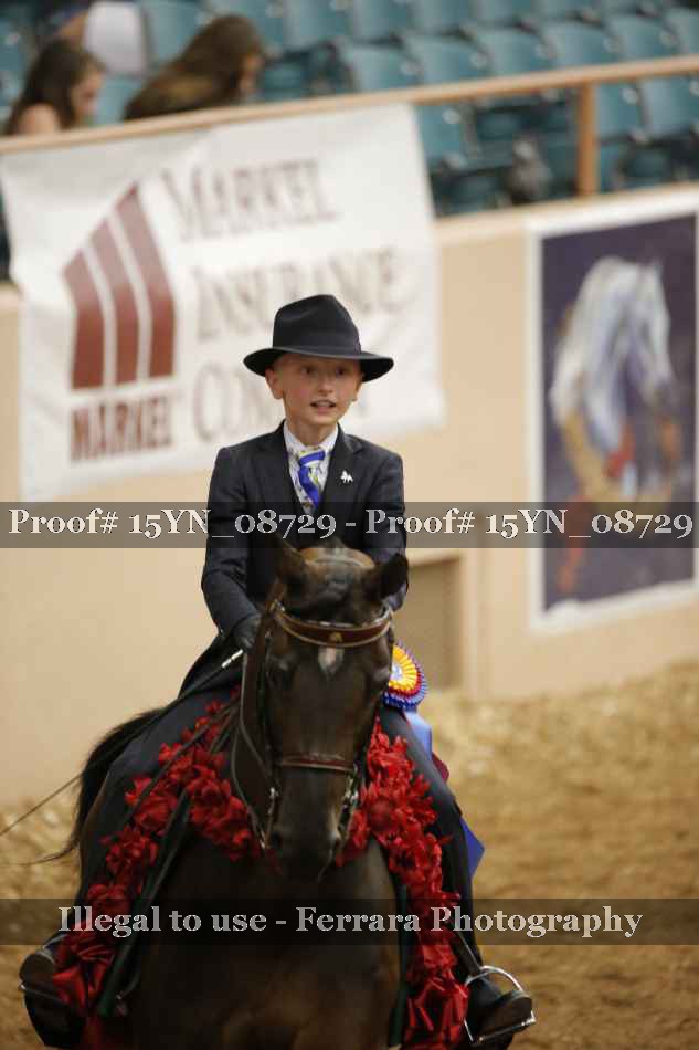 Proof 15YN_08729
