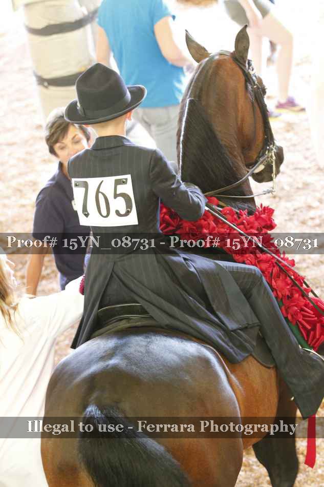 Proof 15YN_08731