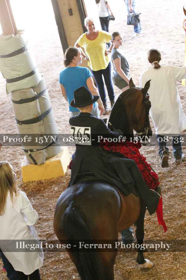 Proof 15YN_08732