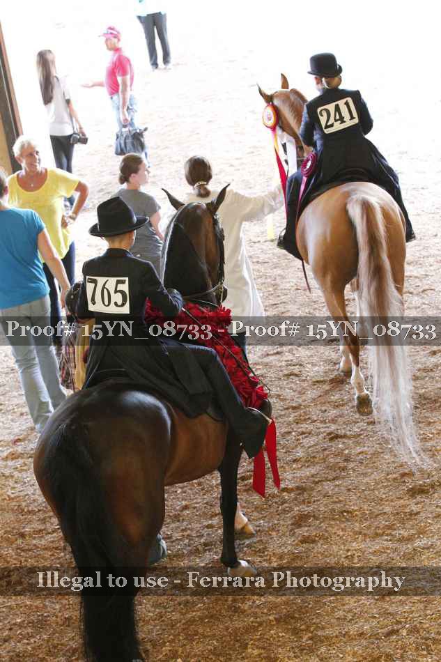 Proof 15YN_08733