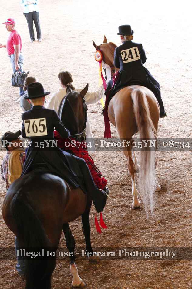 Proof 15YN_08734