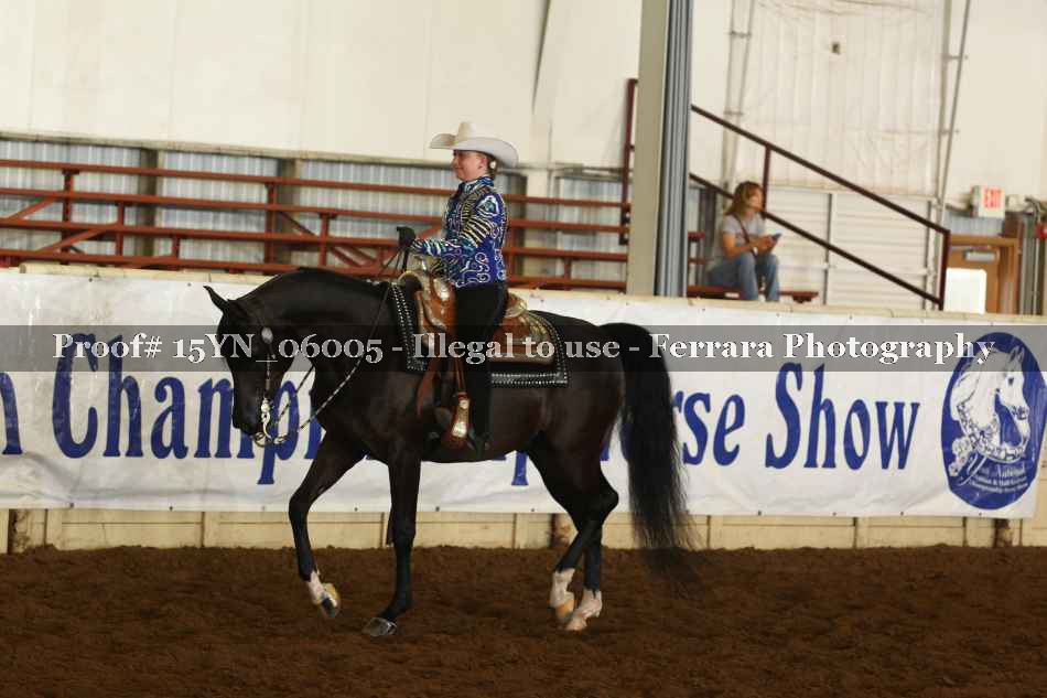 Proof 15YN_06005