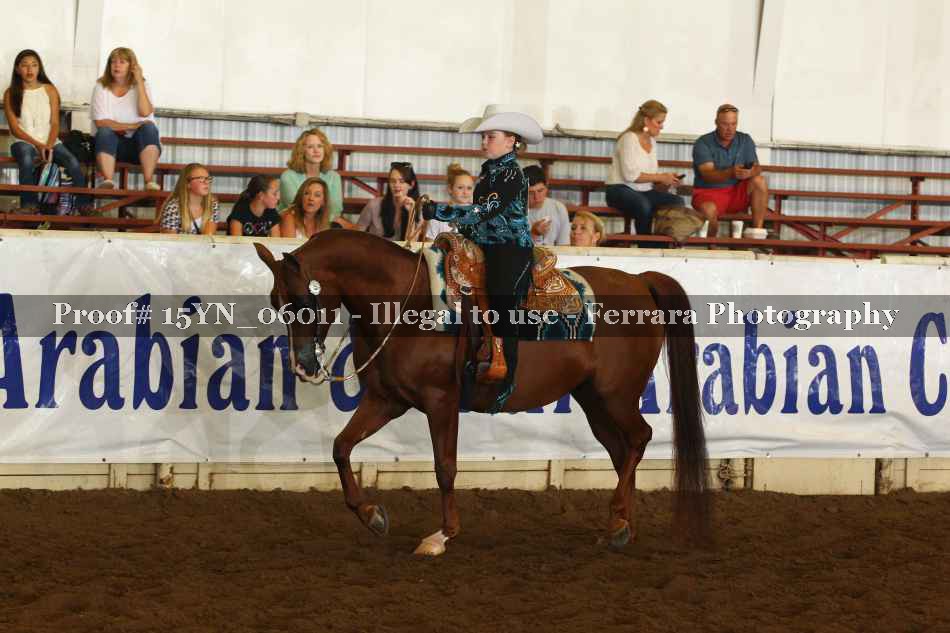 Proof 15YN_06011