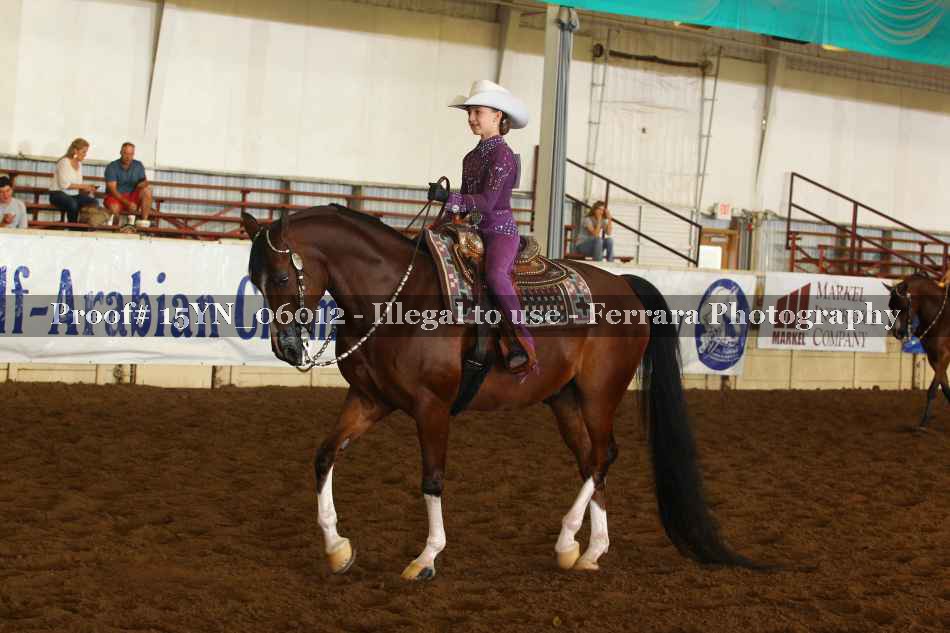 Proof 15YN_06012