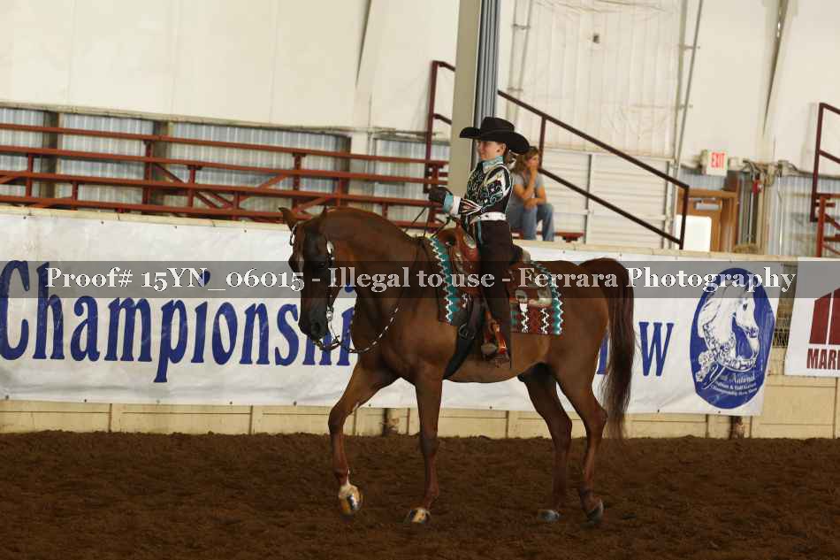 Proof 15YN_06015