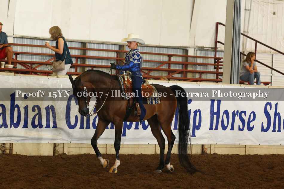 Proof 15YN_06017