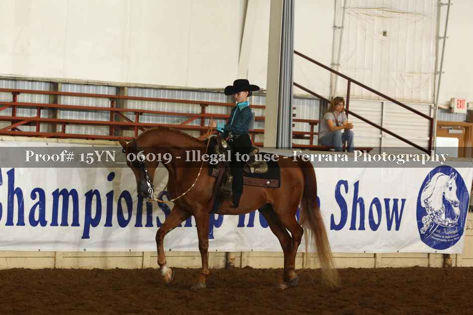 Proof 15YN_06019