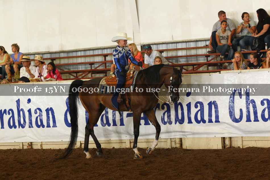 Proof 15YN_06030