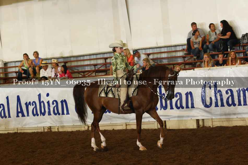 Proof 15YN_06035