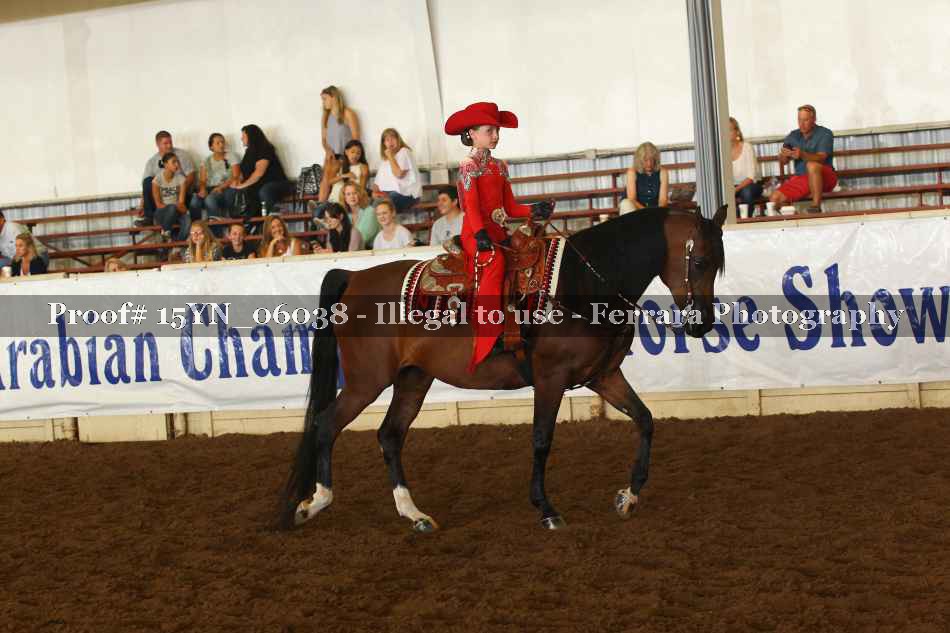 Proof 15YN_06038