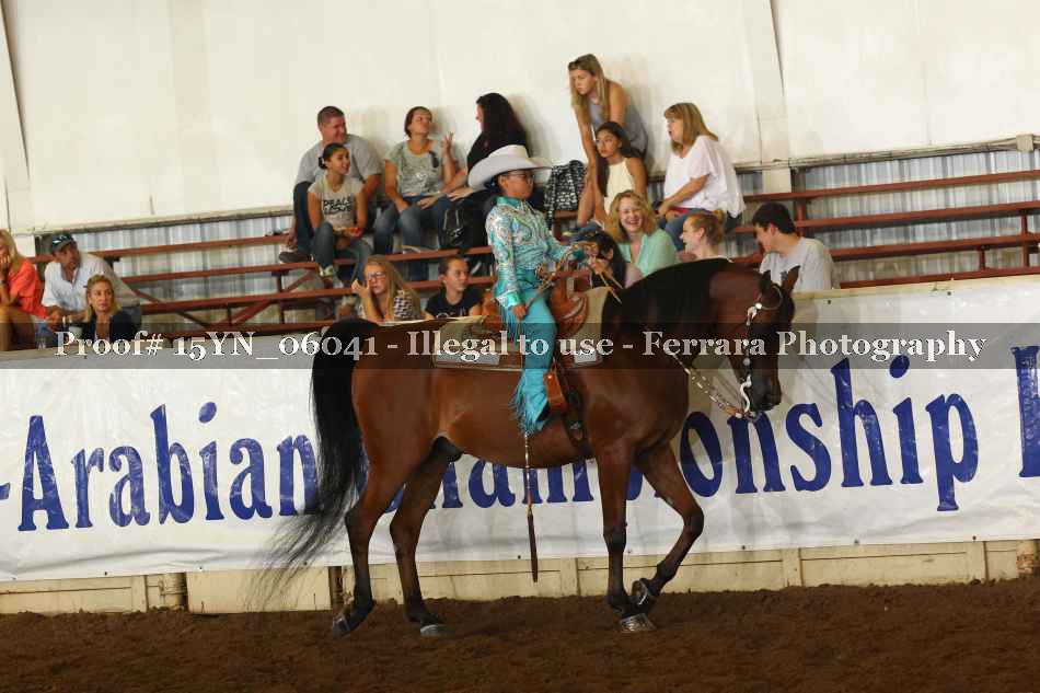 Proof 15YN_06041
