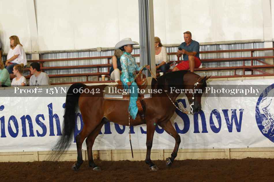 Proof 15YN_06042