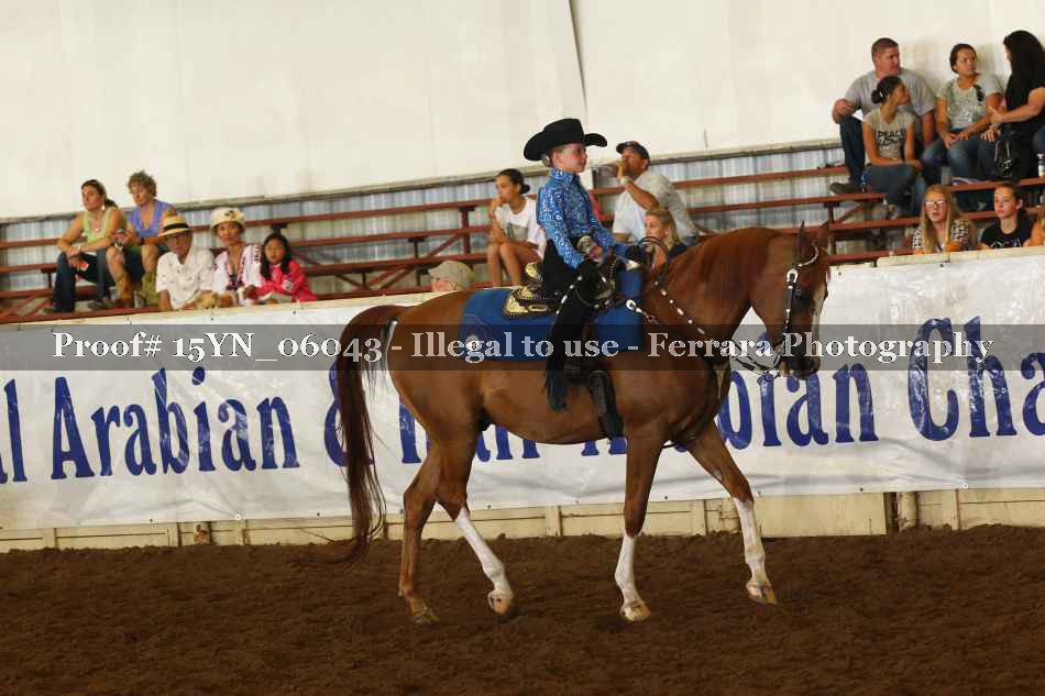 Proof 15YN_06043