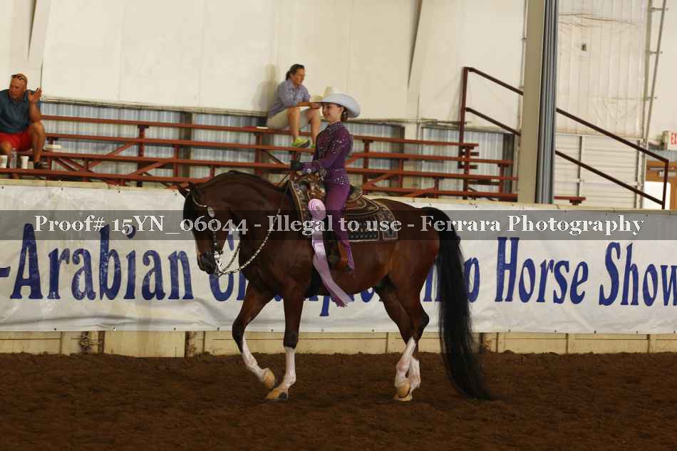 Proof 15YN_06044