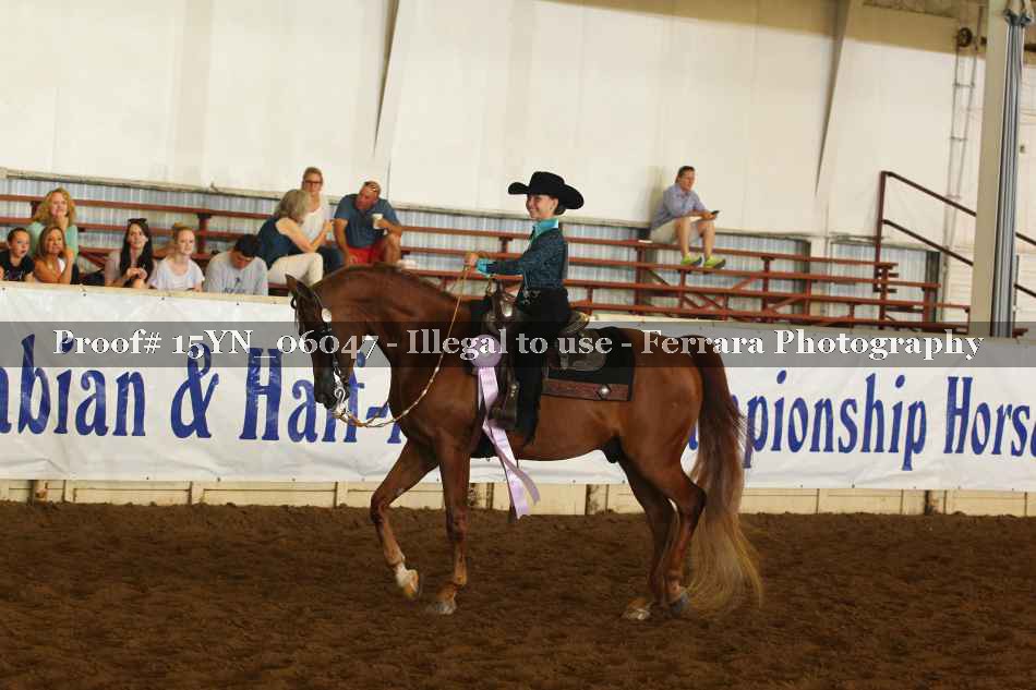Proof 15YN_06047