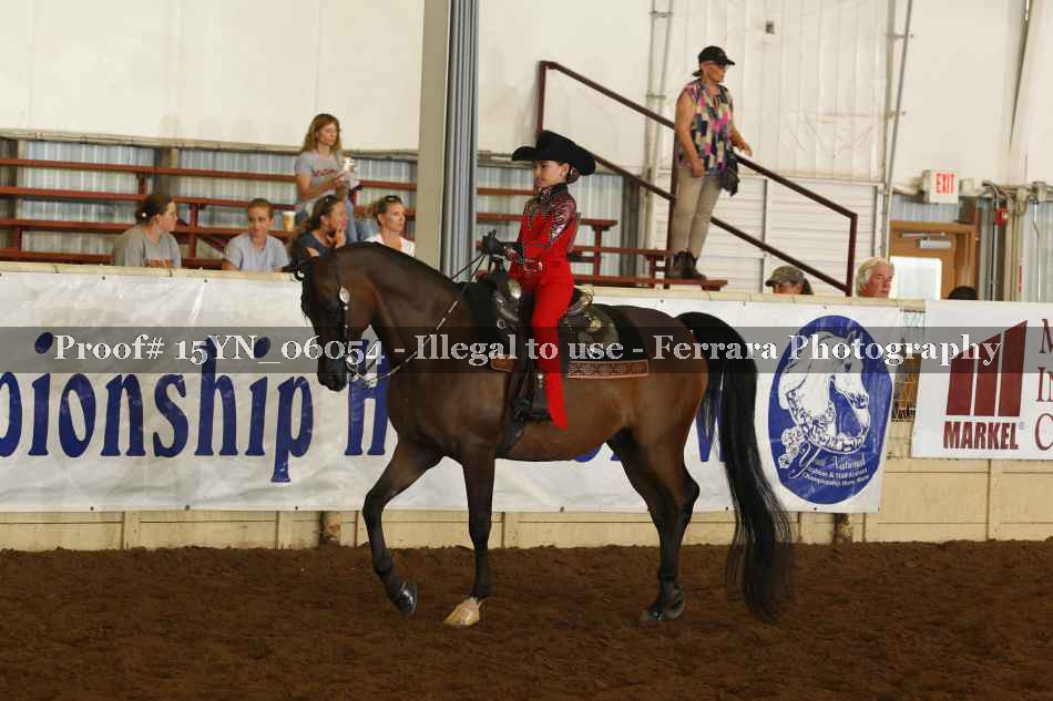 Proof 15YN_06054