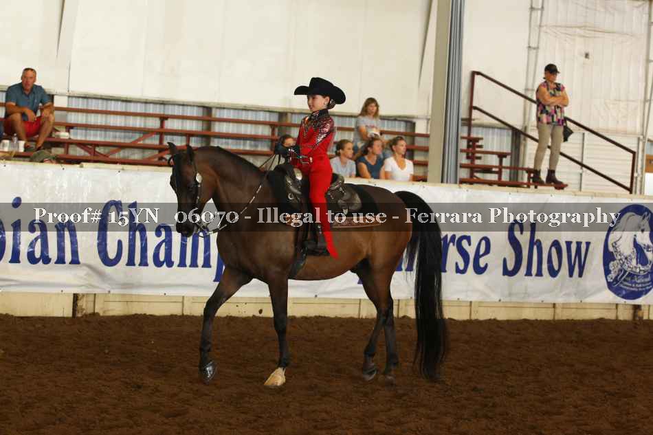 Proof 15YN_06070