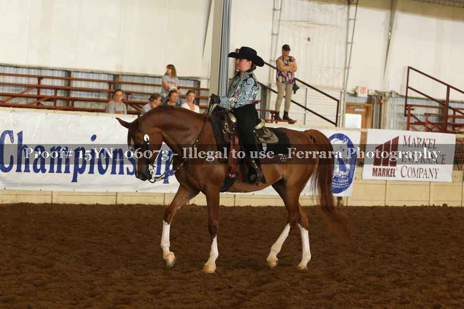 Proof 15YN_06073