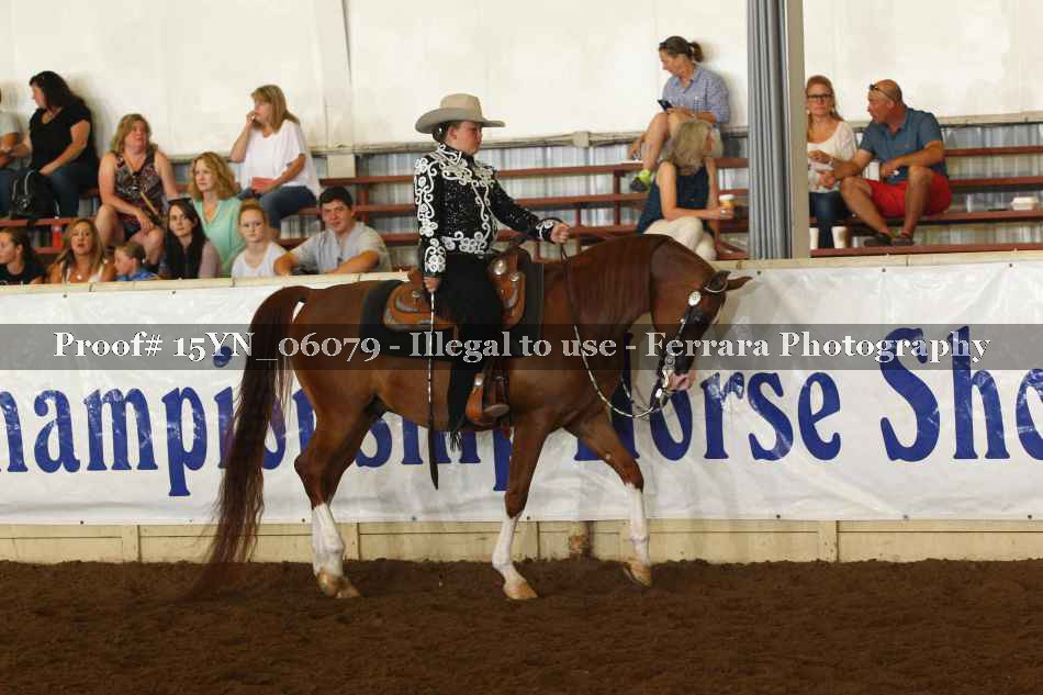 Proof 15YN_06079