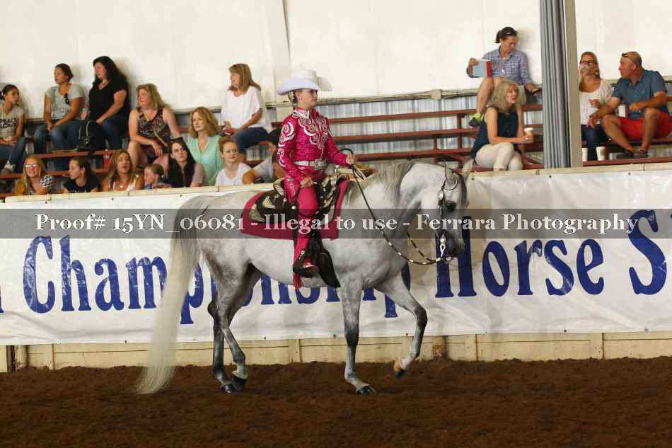 Proof 15YN_06081