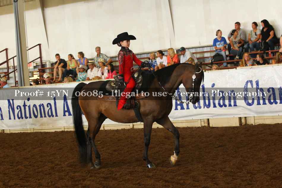 Proof 15YN_06085