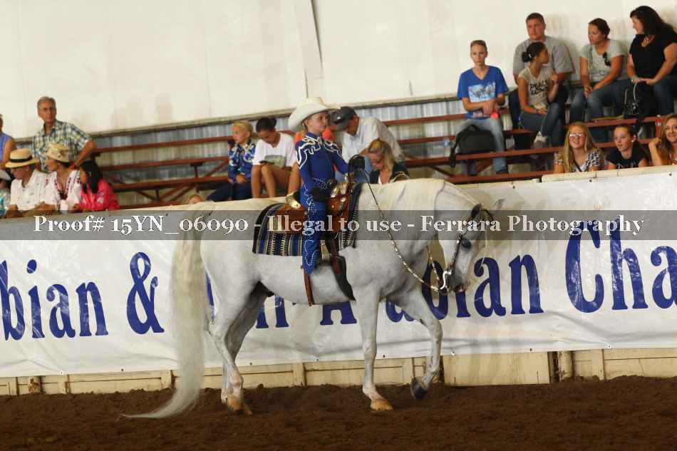 Proof 15YN_06090