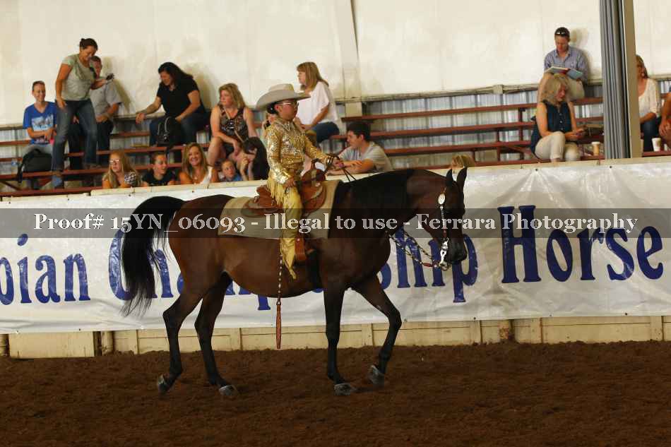 Proof 15YN_06093