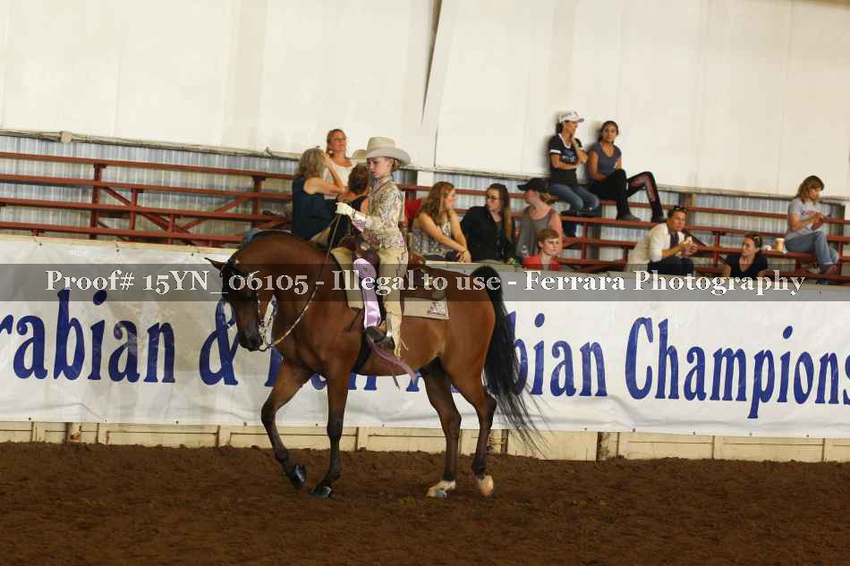 Proof 15YN_06105