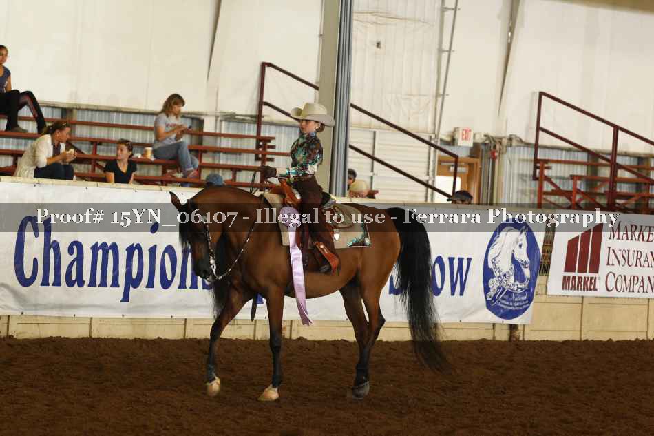 Proof 15YN_06107