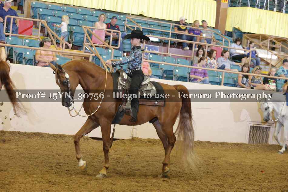 Proof 15YN_30756