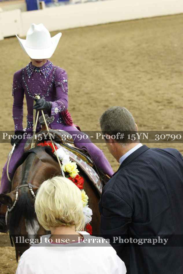 Proof 15YN_30790