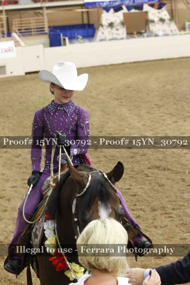 Proof 15YN_30792