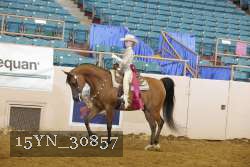 15YN_30857 proof