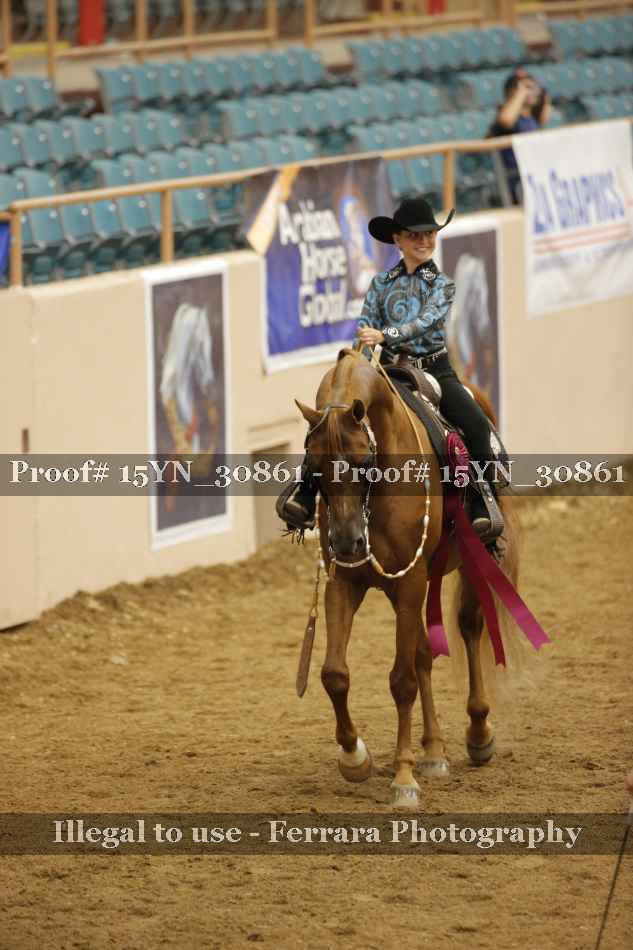 Proof 15YN_30861