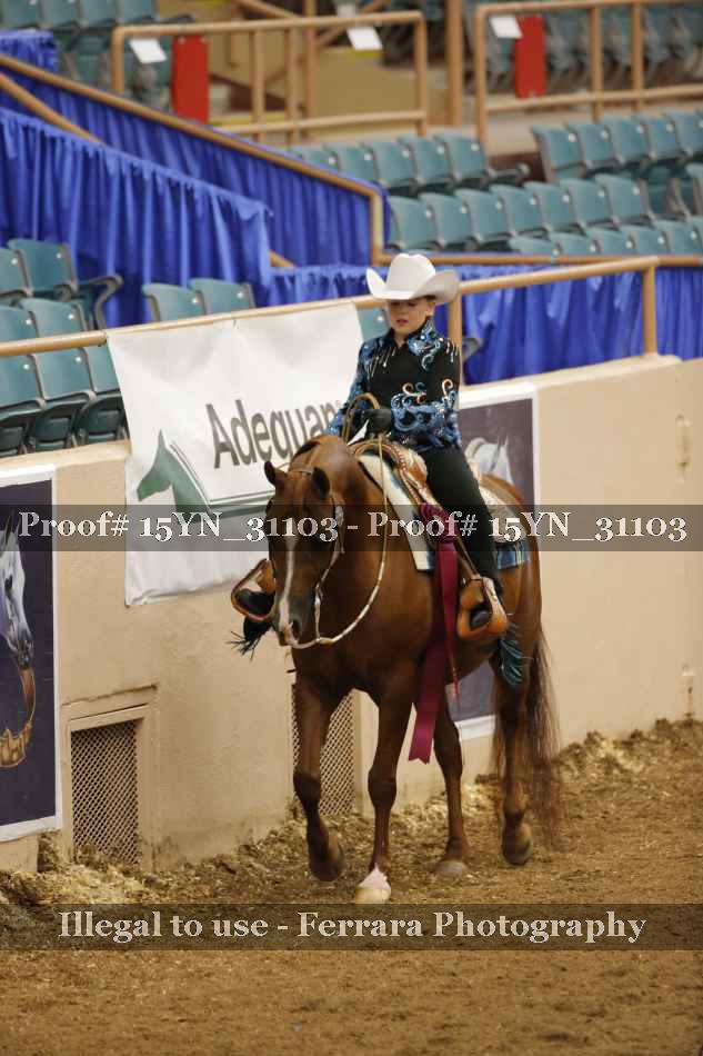 Proof 15YN_31103