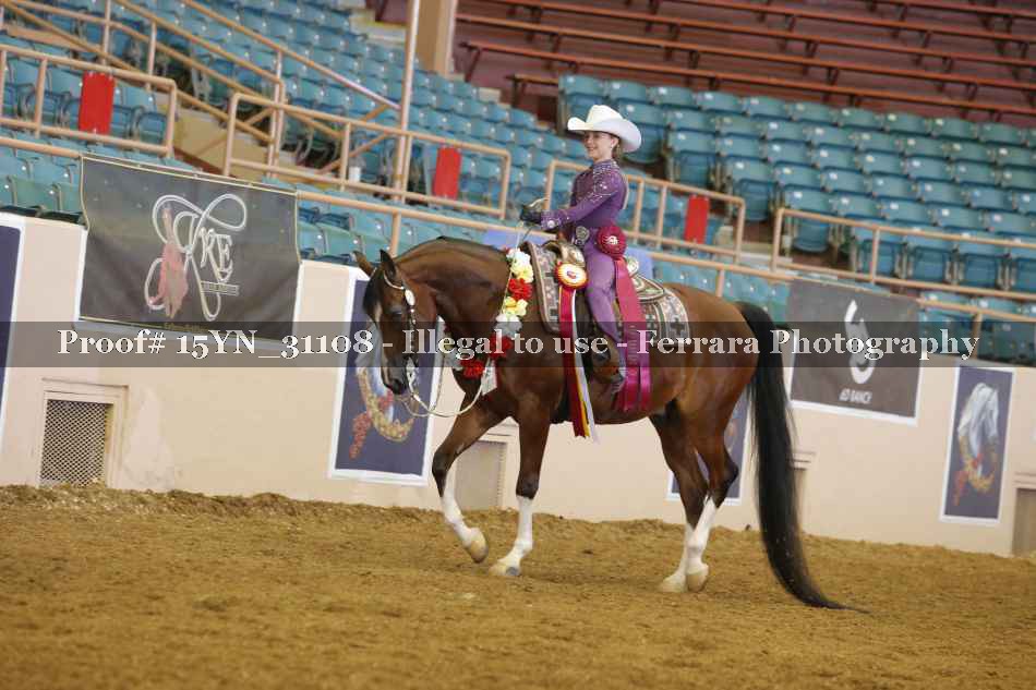 Proof 15YN_31108
