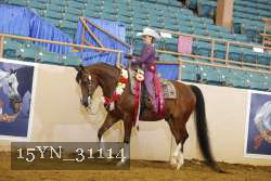 15YN_31114 proof
