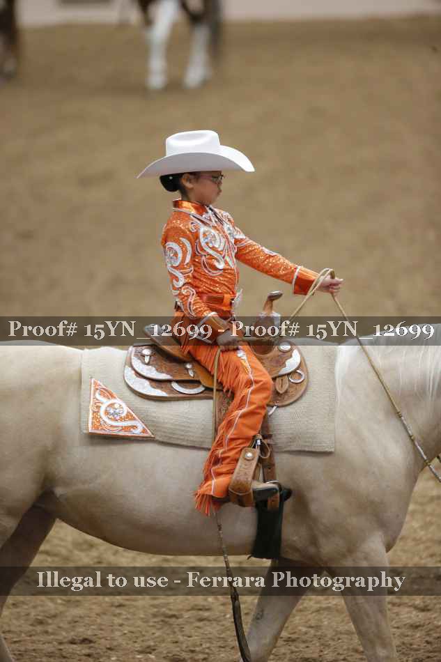 Proof 15YN_12699