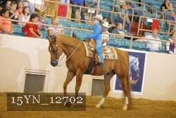 15YN_12702 proof