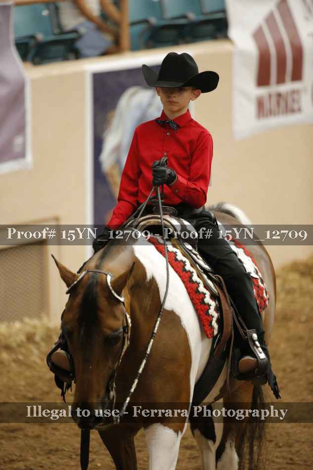 Proof 15YN_12709
