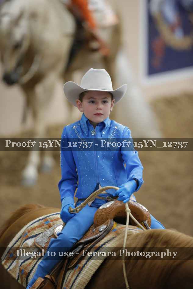 Proof 15YN_12737
