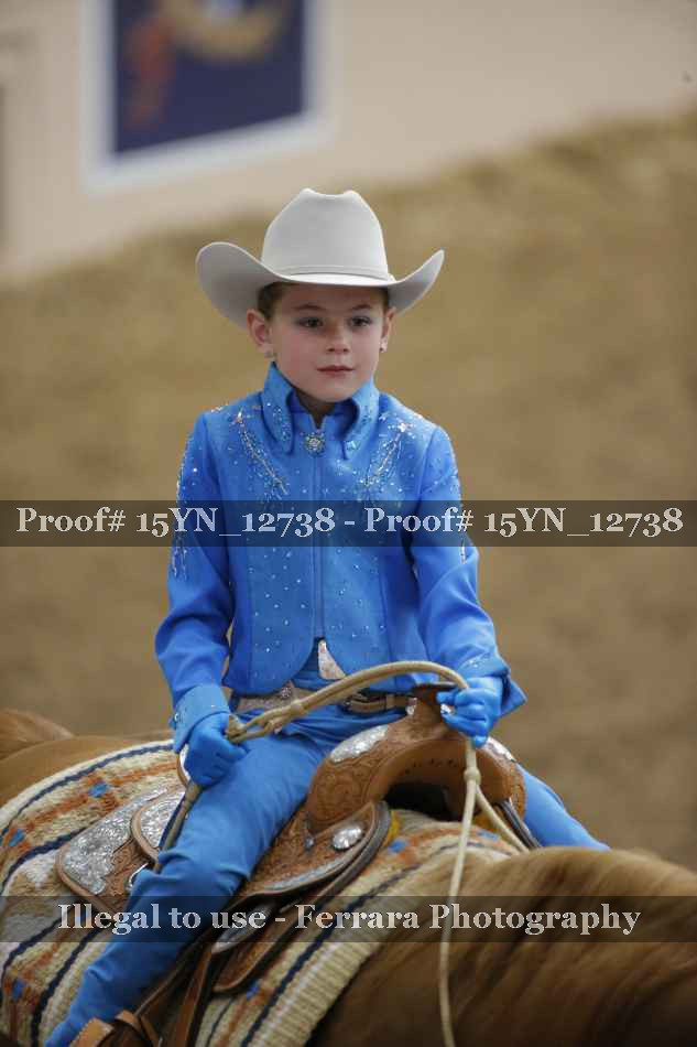 Proof 15YN_12738