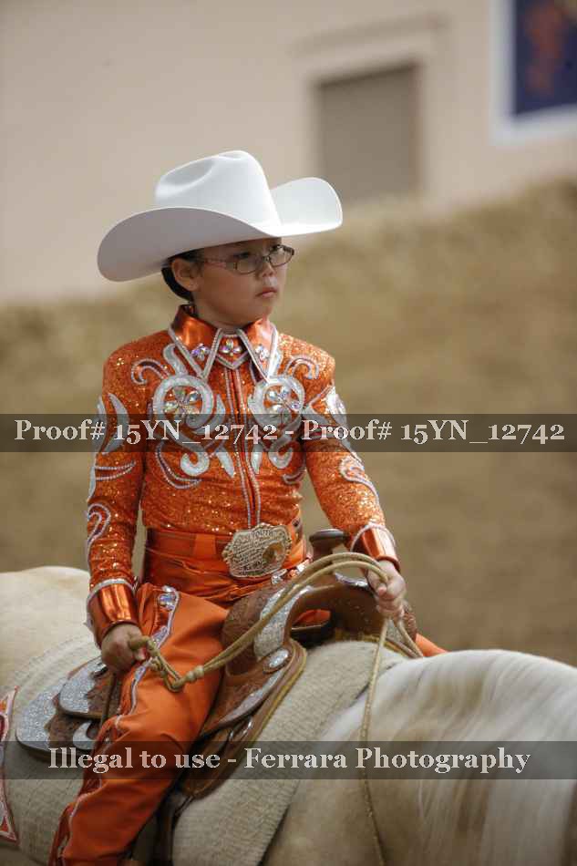 Proof 15YN_12742