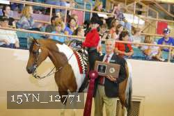 15YN_12771 proof