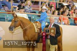 15YN_12775 proof