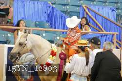 15YN_12803 proof